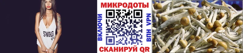 купить наркотик Окуловка Галлюциногенные грибы Psilocybe